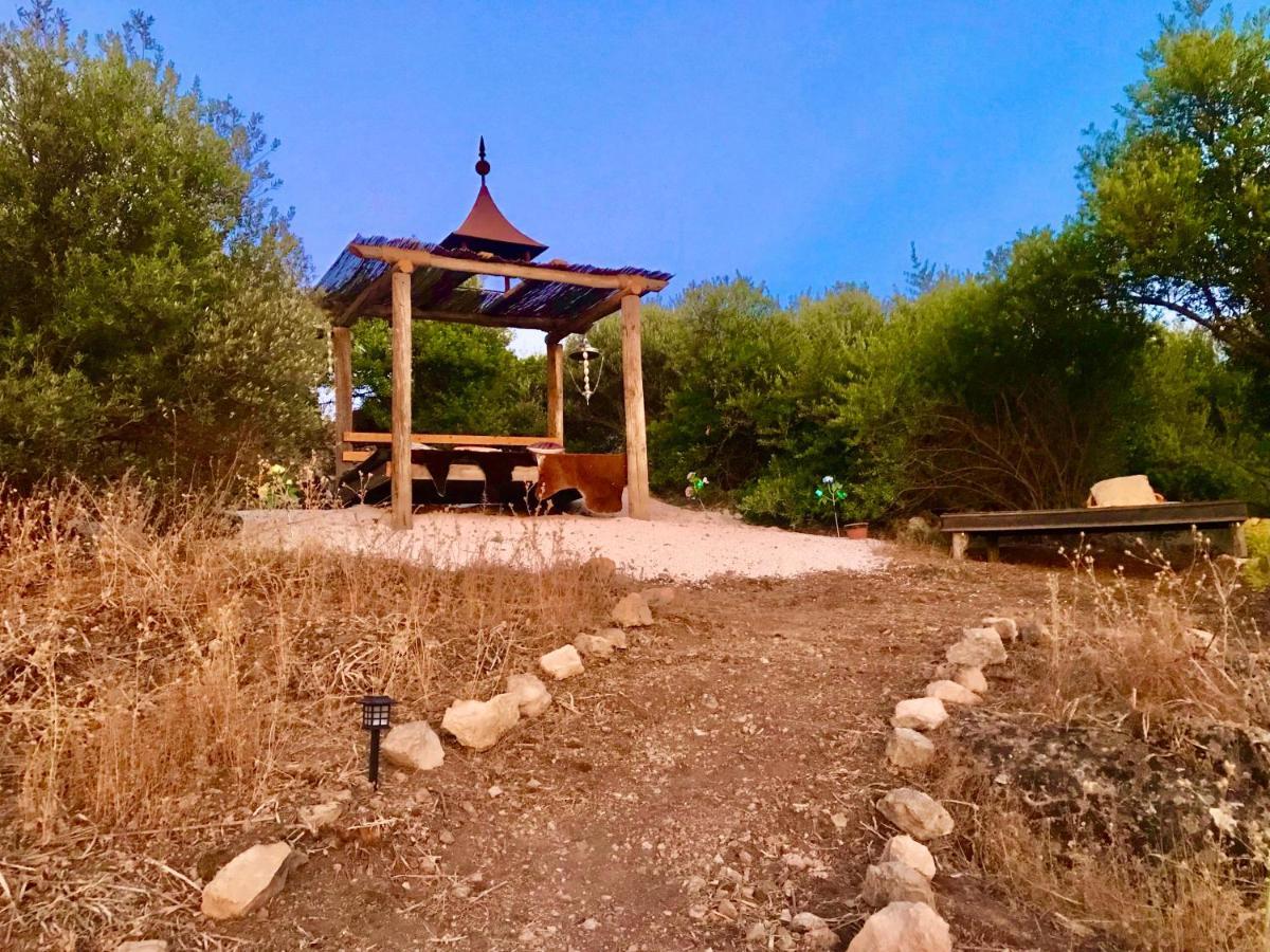 Room In Villa - Beautiful Accommodation At The Heart Of Andalusia Puente Genil Bagian luar foto
