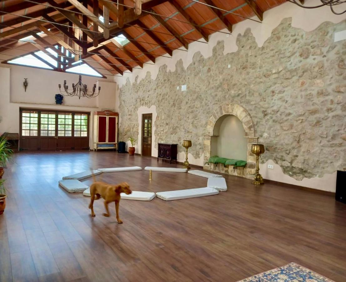 Room In Villa - Beautiful Accommodation At The Heart Of Andalusia Puente Genil Bagian luar foto