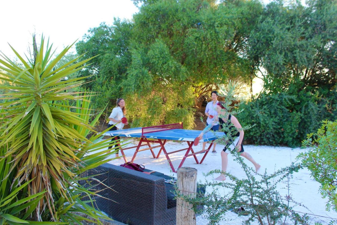 Room In Villa - Beautiful Accommodation At The Heart Of Andalusia Puente Genil Bagian luar foto